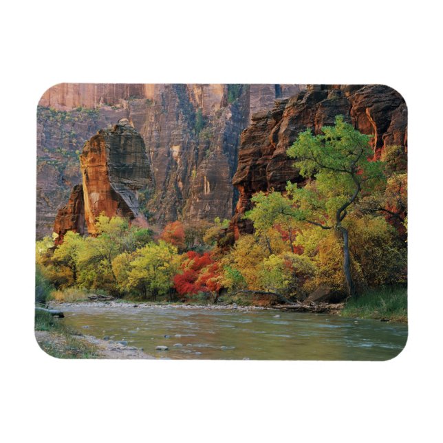 Ímã Folhagem de queda ao longo do rio Virgin perto do  (Horizontal)