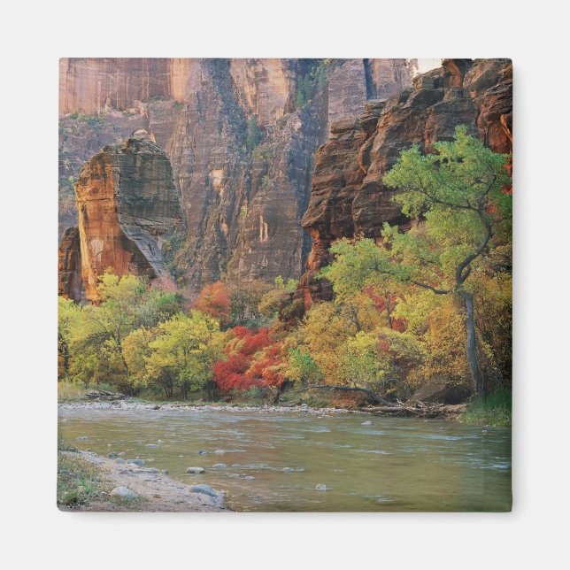 Imã Folhagem de queda ao longo do rio Virgin perto do  (Frente)