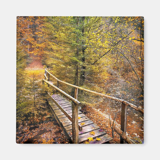 Imã Folhagem do outono, cores do outono, (Frente)