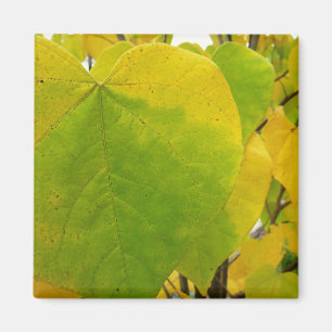 Imã Folhas amarelas e verdes de Redbud
