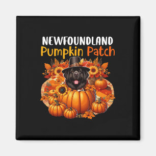 Imã Folhas de Ação de Graças da Terra Nova - Folha de 