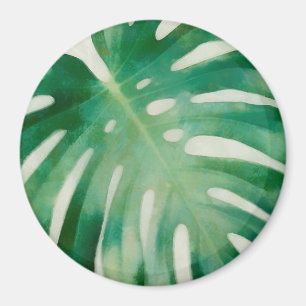 Imã Folhas de Monstera