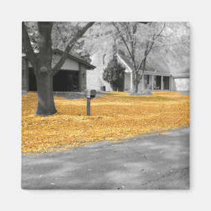 Imã Folhas de Ouro de Verão na Índia