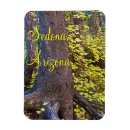 Ímã Folhas de ouro na Trilha West Fork