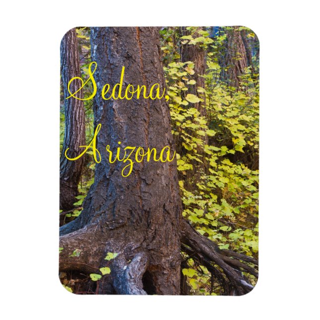 Ímã Folhas de ouro na Trilha West Fork (Vertical)