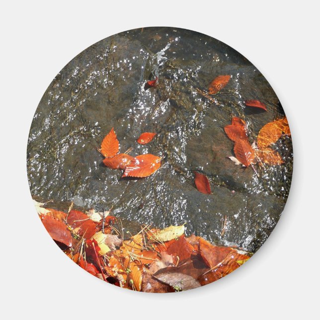 Imã Folhas de outono em Cágua Fotografia de outono I (Frente)