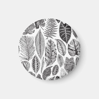 Imã Folhas exóticas, preto e branco floral vintage.