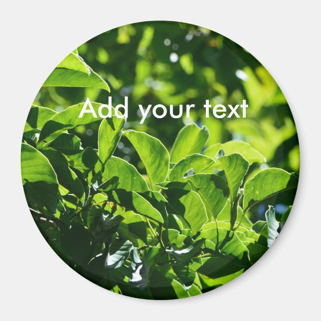 Imã Folhas primavera verde frescas. Fotografia natural (Frente)