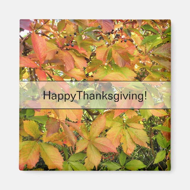 Imã Folhas selvagens da vinha do outono (Frente)