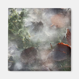 Imã folhas sob gelo