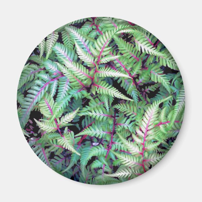 IMÃ FOLHAS VERDES, ROUPAS DE SHARON SHARPE (Frente)