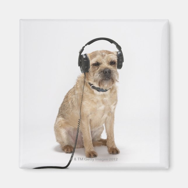Imã Fones de ouvido para vestir cães pequenos (Frente)