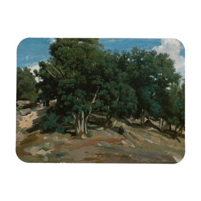 Ímã Fontainebleau Oak Trees (Horizontal)