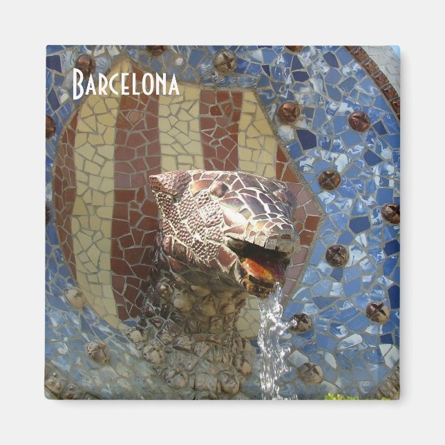 Imã Fonte do Leão (Frente)