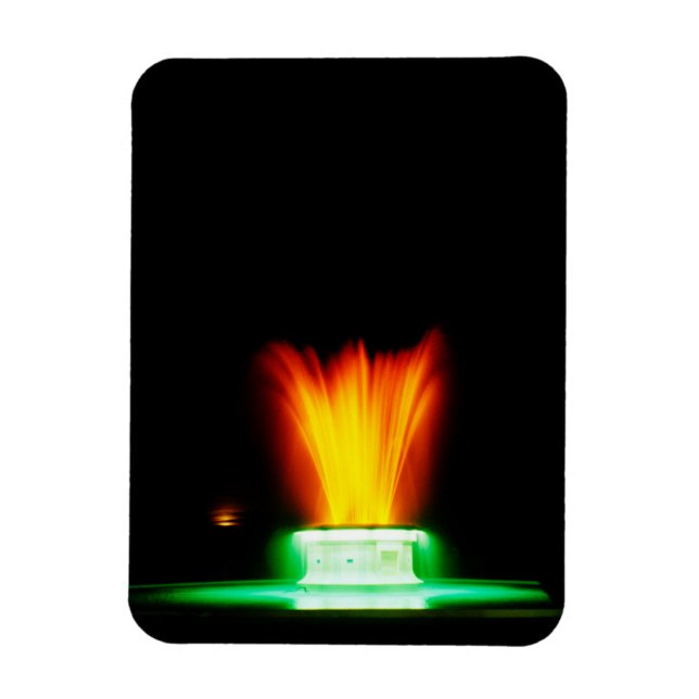 Ímã Fonte Napier NZ (Vertical)