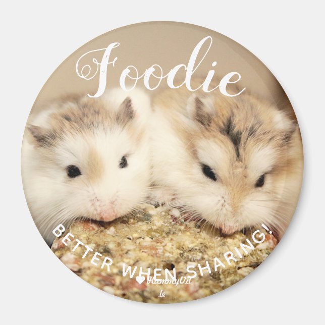Imã Foodie Cute Robo Pair Hamsters (Frente)