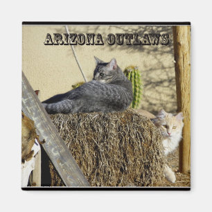 Imã Fora da lei da arizona
