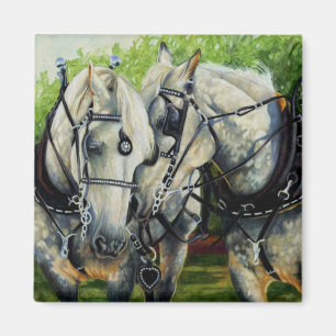 Imã Força quieta - equipe do cavalo de Percheron