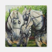 Força Silenciosa - Equipe de Cavalos Percheron