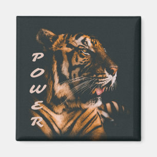 Imã Força Tigre Forçam Motivação