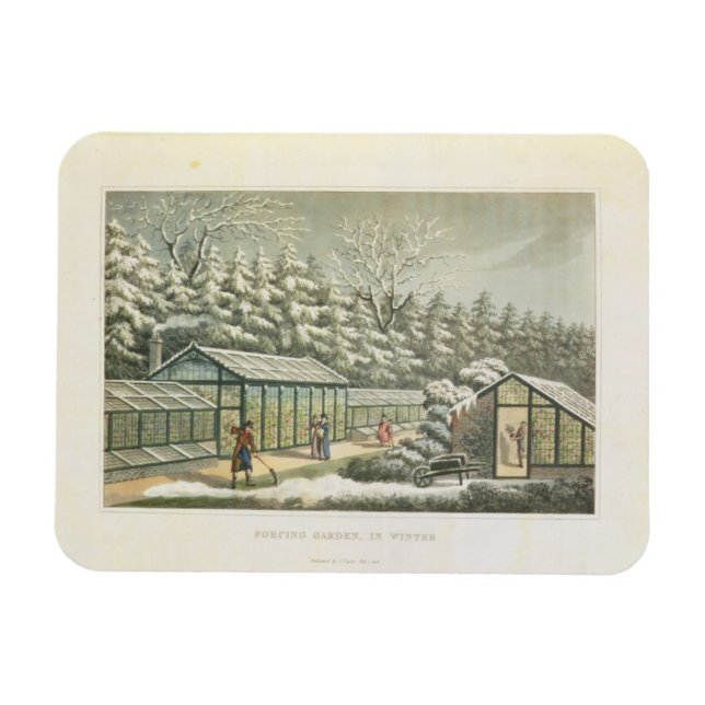 Ímã Forçando Jardim no Inverno, de Fragmentos em Th (Horizontal)