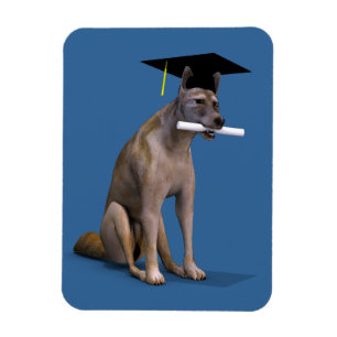 Ímã Formando Coyote