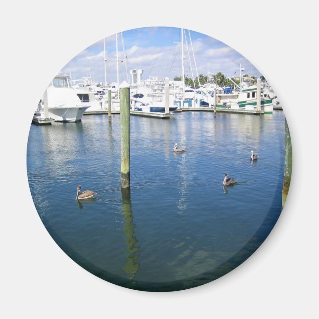 Imã Fort Lauderdale, Florida (Frente)