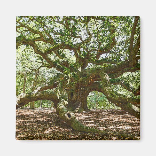 Imã Forte E Negrito (Frente)