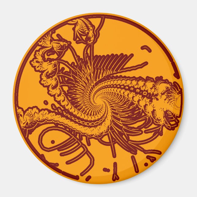 Imã Fóssil. 2 (Frente)