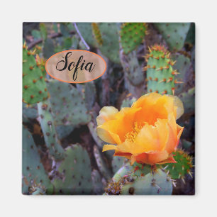 Imã Foto alaranjada da flor do cacto do opuntia da