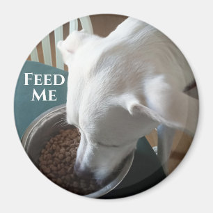 Imã Foto bonita de cachorro faminto que não pode esper