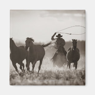 Imã Foto branca e negra de um cowboy abando de cavalos