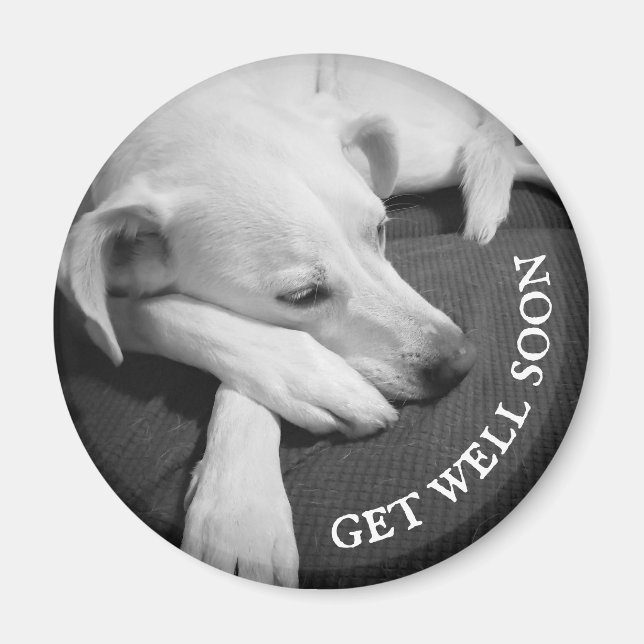 Imã Foto branca e negra de um lindo cão dormindo (Frente)