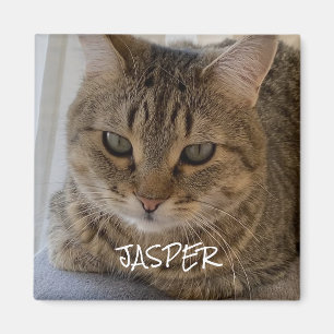 Imã Foto Cat