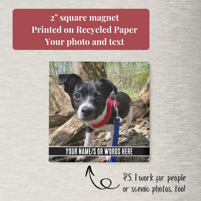 Imã Foto com personalização no Bottom Modern (Your custom text and pet photo make this square magnet a perfect, inexpensive gift.)