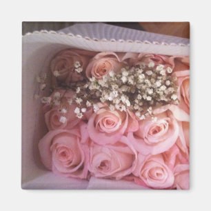 Imã Foto cor-de-rosa dos rosas