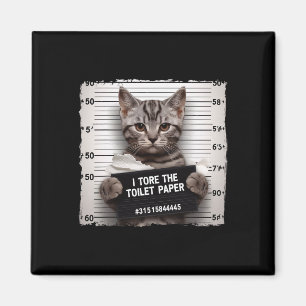 Imã Foto Da Cadeia De gatinho I Destruiu O Papel De Ba