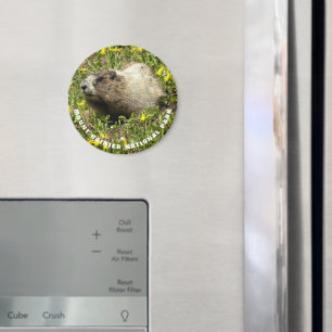 Imã Foto da marmota do parque nacional de Monte