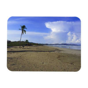 Ímã Foto da Praia da Costa Rica com Palmeira