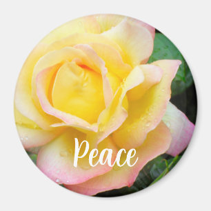 Imã Foto da Rosa da Paz