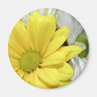 Imã Foto das flores da margarida branca amarela das ma