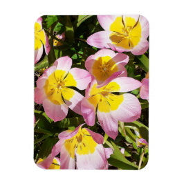 Ímã Foto das flores rosa e amarela