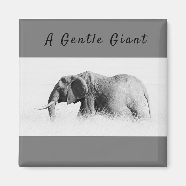 Imã Foto de alta chave Gentle Giant Elephant com texto (Frente)