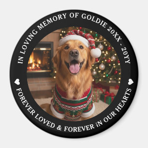 Imã Foto de Animal de Estimação Personalizada Em Memór