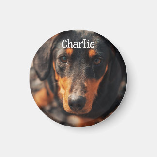 Imã Foto de Animal Personalizada