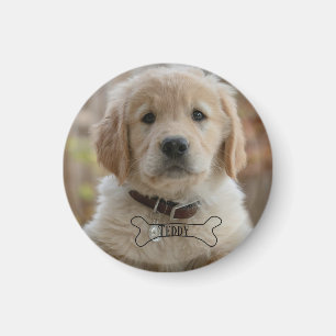 IMÃ FOTO DE CACHORRINHO DE CÃO NOME OSSO MELHOR MÃE PA