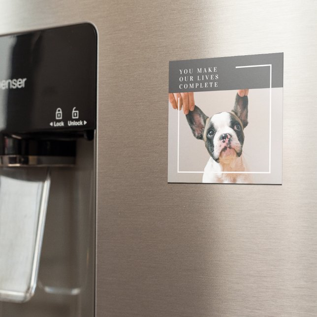 Imã Foto de Cachorro Moderno | Cachorro (Criador carregado)