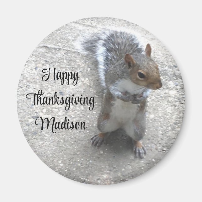 Imã Foto de Esquilo Bonito com Cauda Fluffy (Frente)