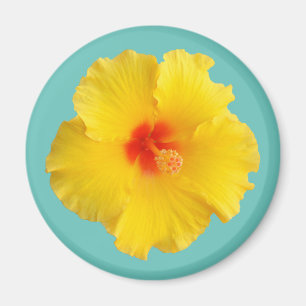 Imã Foto de Flor de Hibisco Amarela