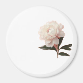Imã Foto de Flor de Peônia Rosa Vintage